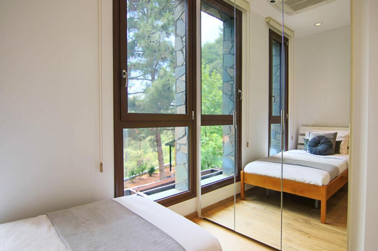 Phaedrus Living: Forest View Luxury Villa Chantara Foini Eksteriør billede